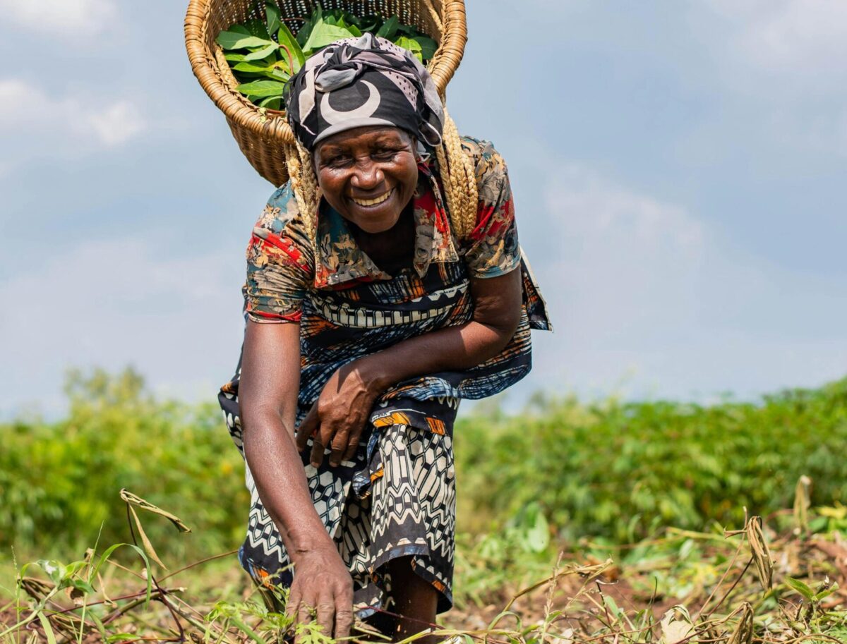 pexels-safari-consoler-3290243-15897037