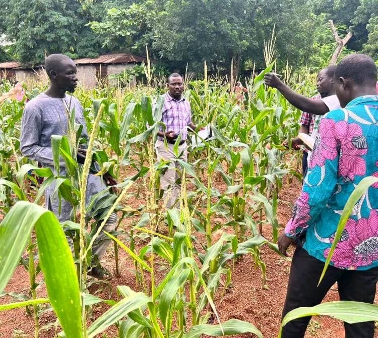 WhatsApp Image 2025-12-01 at 15.14.55